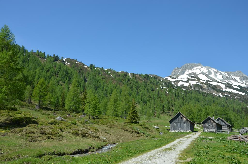 Urlaub Am Kraeutlhof In Mariapfarr Apartment Bilik gambar